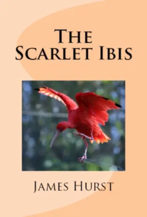Cover for The Scarlet Ibis